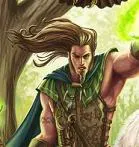 DRUID.webp
