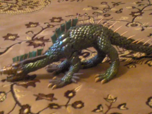 DSC00004.webp