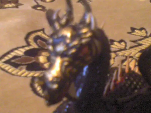 DSC00006.webp
