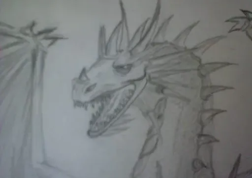 DSC00041.webp