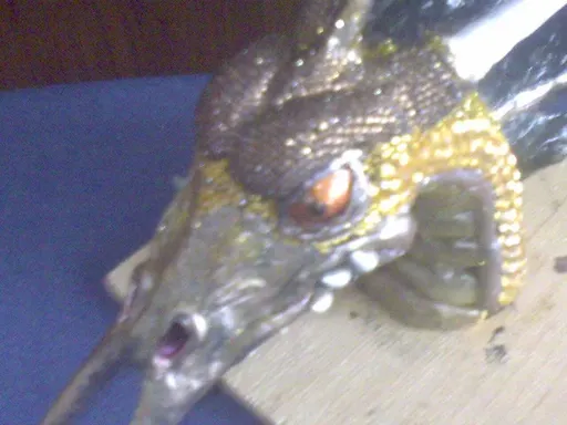 DSC00019.webp