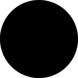 Blank.webp