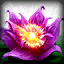 3.webp