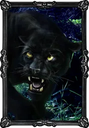 666.webp