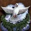 63.webp