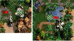 13.webp