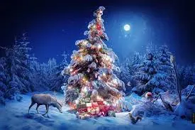 11111.webp