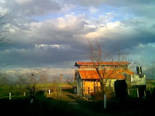 блаалепие.webp