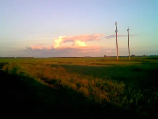 Грибок.webp