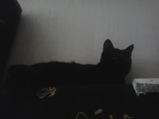 2016-04-18 11.11.40.webp