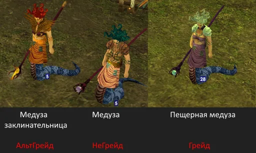 медузы2.jpg