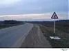 знак.webp
