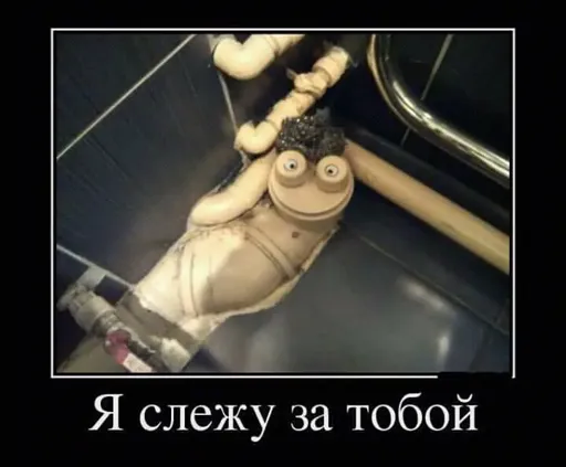 FB_IMG_15104184278172791.webp