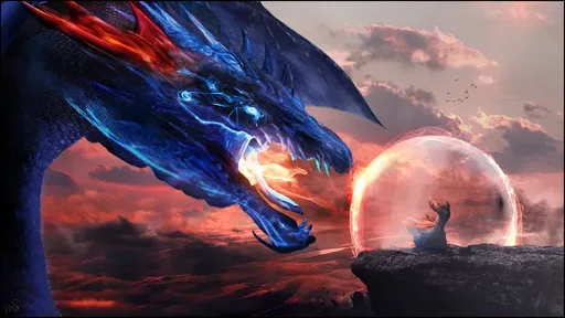 8.webp
