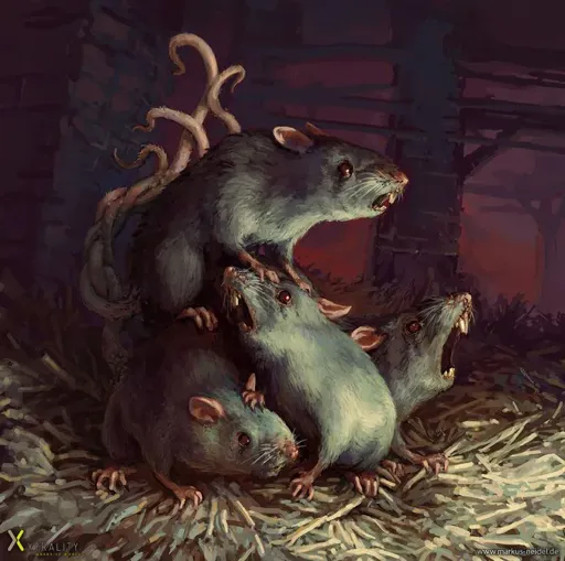 rats.webp
