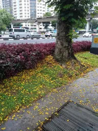 03.webp