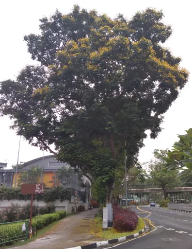 01.webp