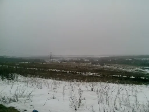 bVcWKBX6CQ4.webp