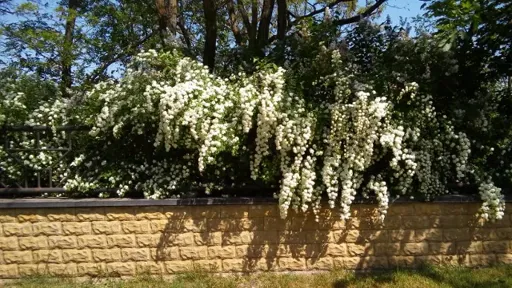 20180503_115443 (640x361).webp