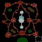 02.webp