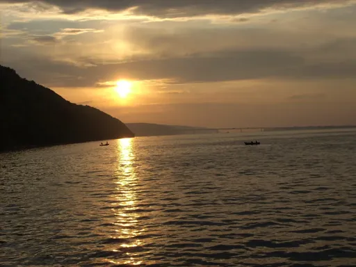 DSCN5077.webp