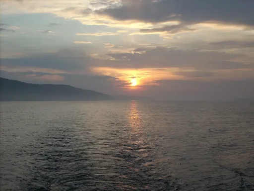 DSCN5095.webp