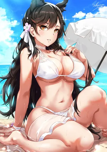 a03.webp