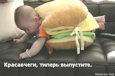 23451.webp