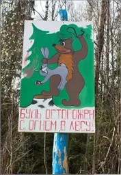 медвед.webp