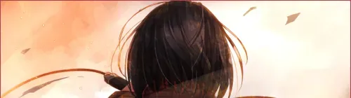 113c.webp