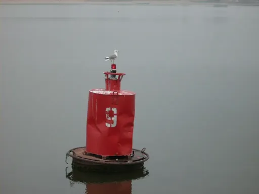 DSCN4763.webp