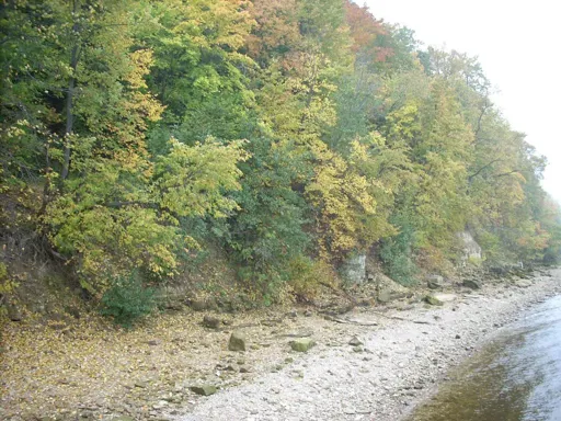 DSCN4805.webp
