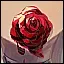 Ritter 3.webp