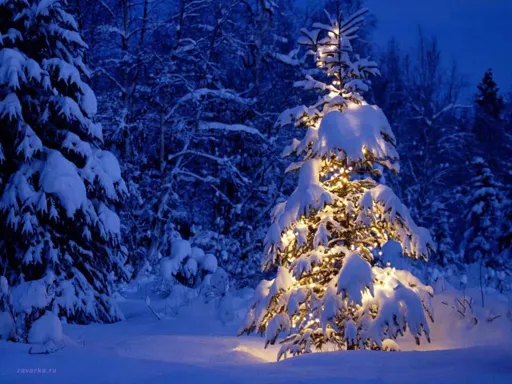 christmas58.webp