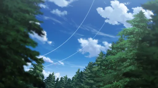 111.webp
