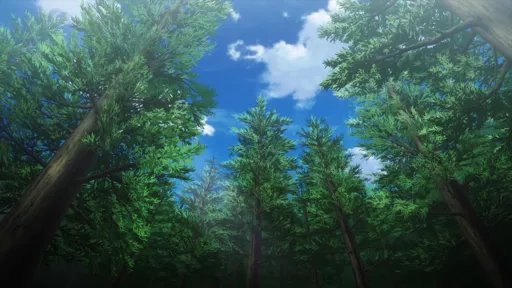 112.webp