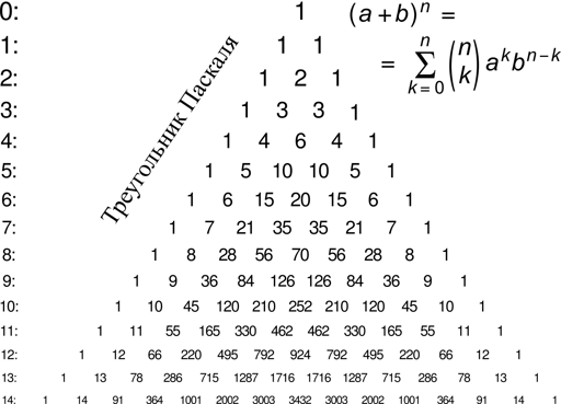 Pascal.webp