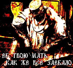 558.webp