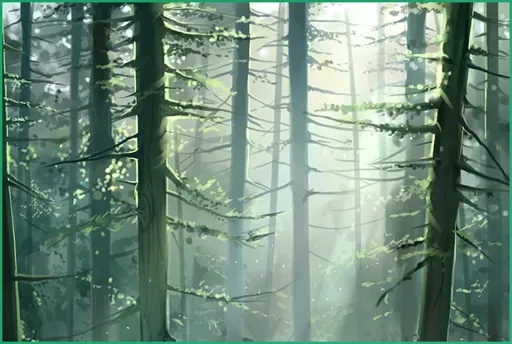 2.webp
