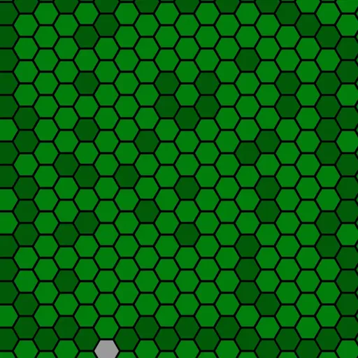 forest.webp