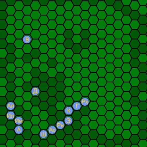 forest.webp