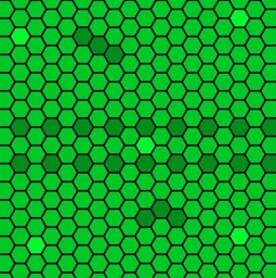 Untitled-1.webp