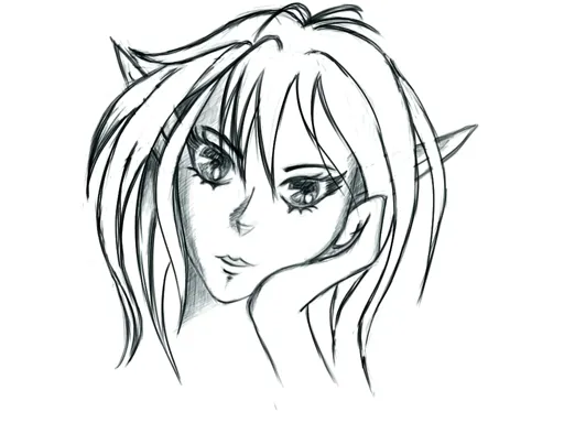 12.webp