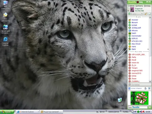 fon.webp