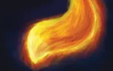 fire_fur.webp
