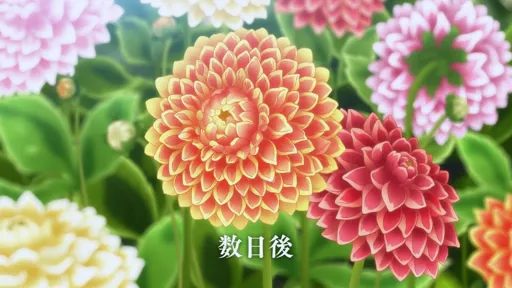 3.webp