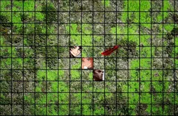 marsh.webp