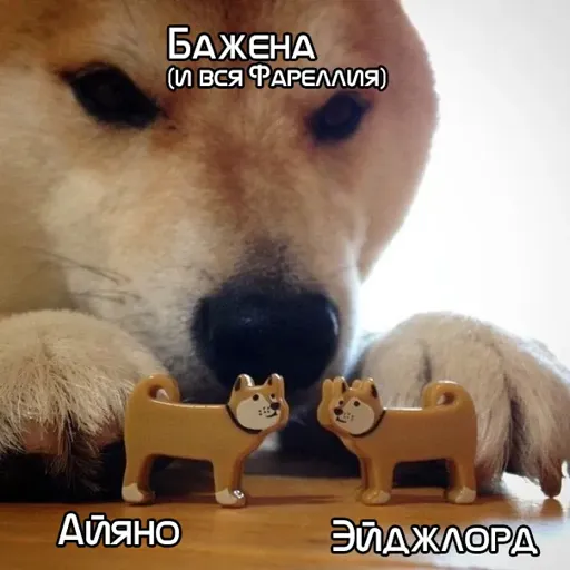 s82ju218.webp
