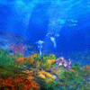 3d_56.webp