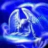 0004.webp